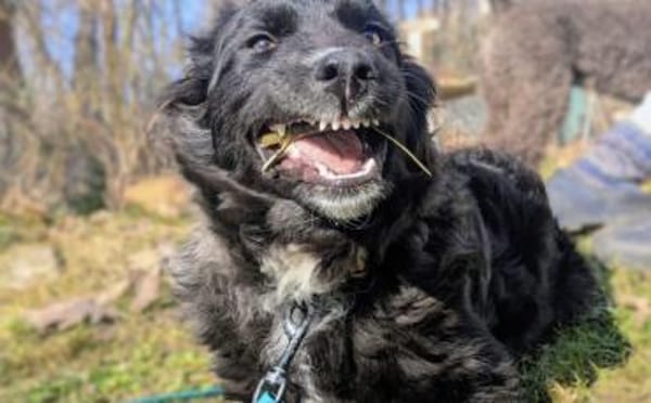 Kleine Göttin Sunna will Herzen erobern