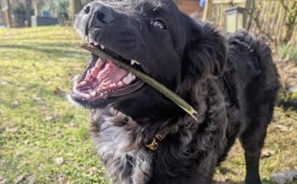 Kleine Göttin Sunna will Herzen erobern