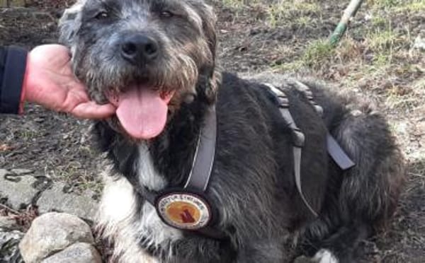 Schenkst du Melody ein neues Leben?