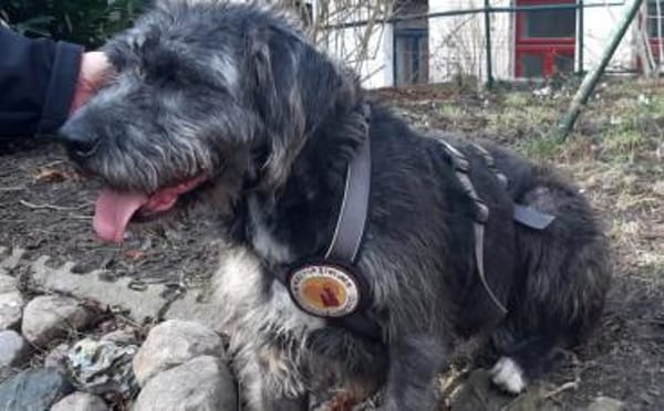 Schenkst du Melody ein neues Leben?