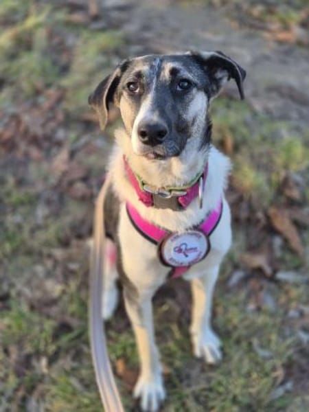 💕Sanya wartet auf ihre eigene Familie💕