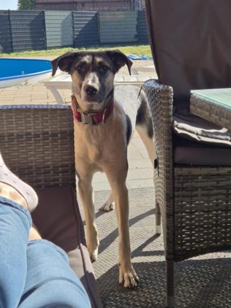 💕Sanya wartet auf ihre eigene Familie💕