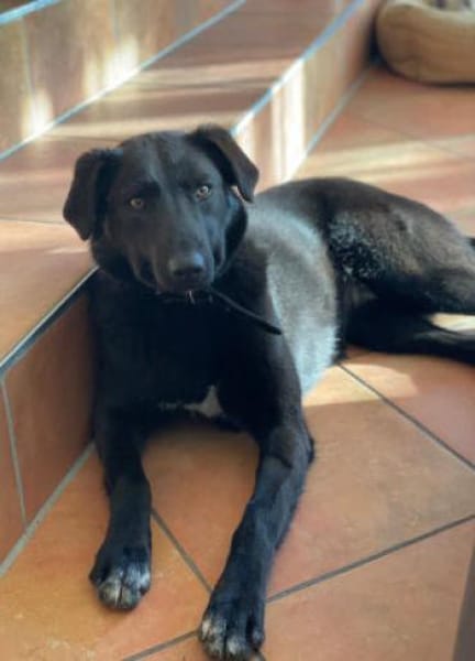 Maliah ist aufgeschlossen + mag Menschen