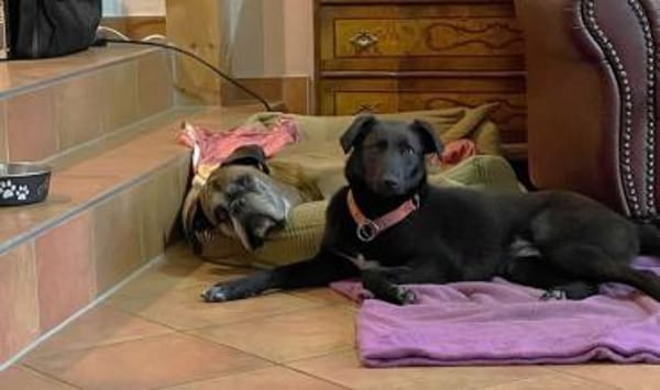 Maliah ist aufgeschlossen + mag Menschen