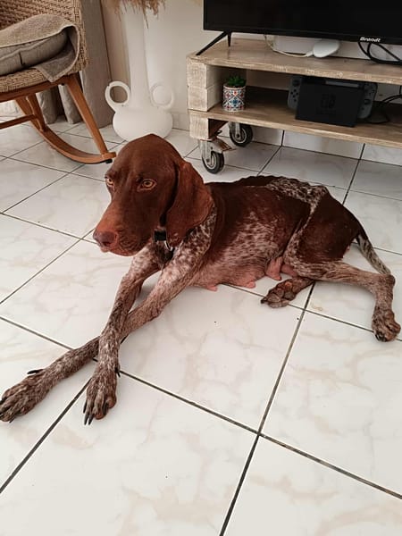 Kiara, le rayon de soleil