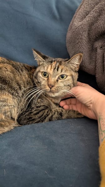 Mouna chatte réunion