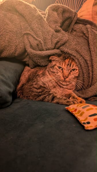 Mouna chatte réunion