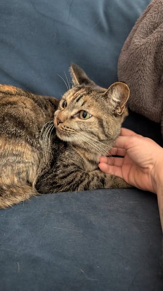 Mouna chatte réunion