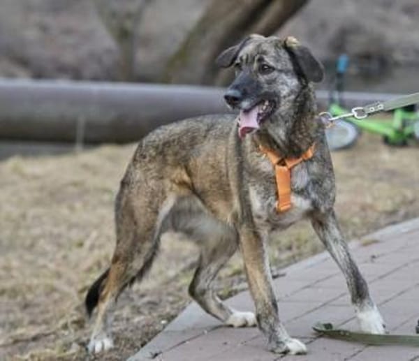 April, wunderschön und liebevoll