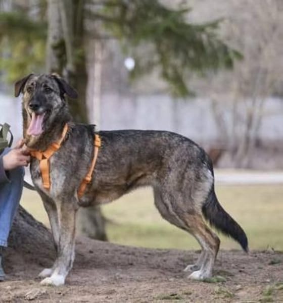 April, wunderschön und liebevoll