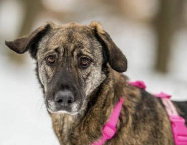 April, wunderschön und liebevoll