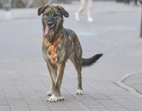 April, wunderschön und liebevoll