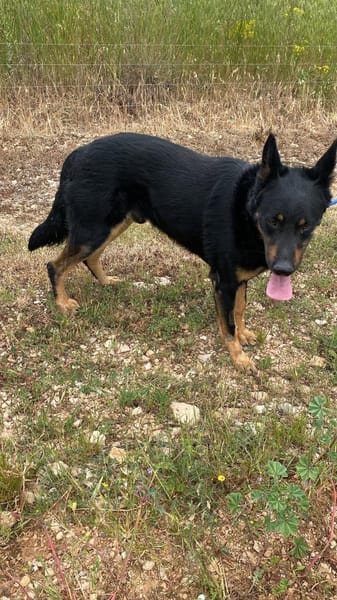 Jafar sportlich mit großem ❤ sucht