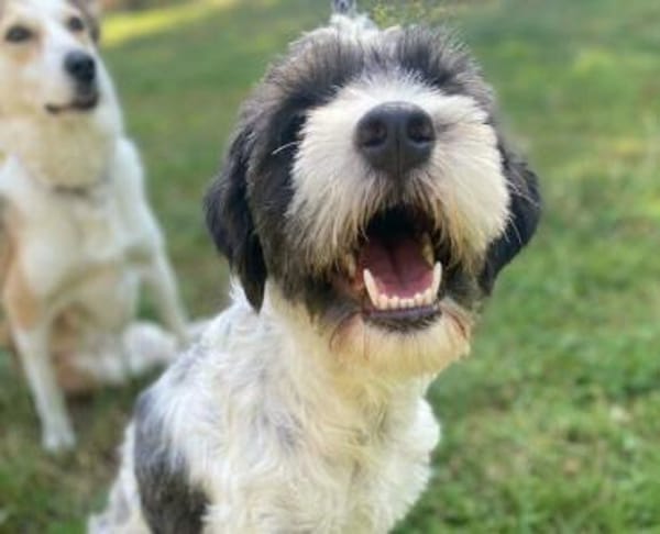 NOAH, trotz Handicap voller Lebensfreude