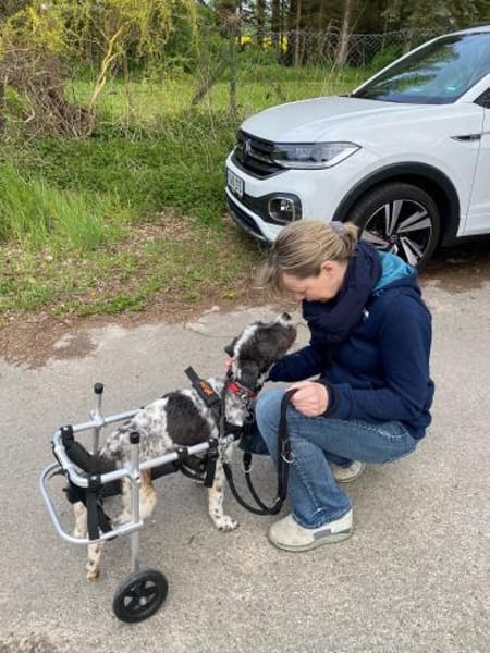 NOAH, trotz Handicap voller Lebensfreude