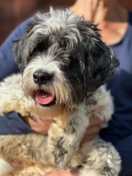 NOAH, trotz Handicap voller Lebensfreude