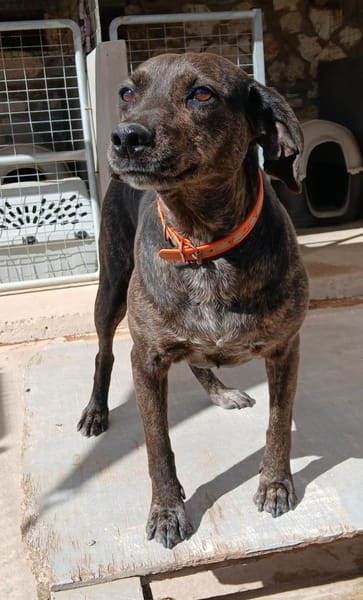 Vicky liebt Menschen