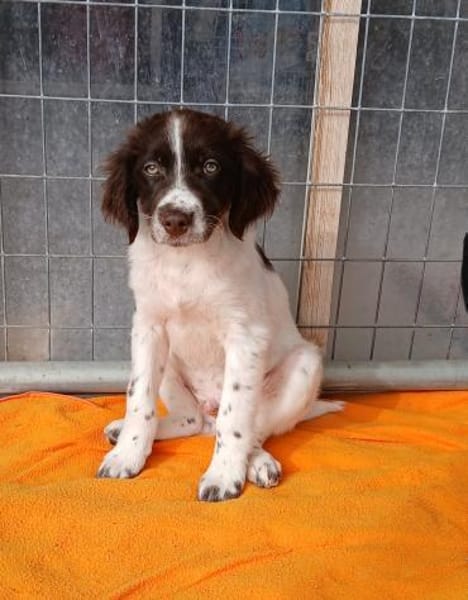 Mailo - einfach zum Knuddeln