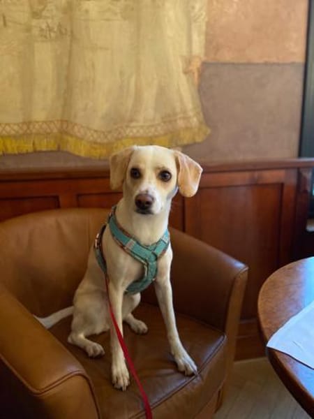 Luna, sportlich und verspielt