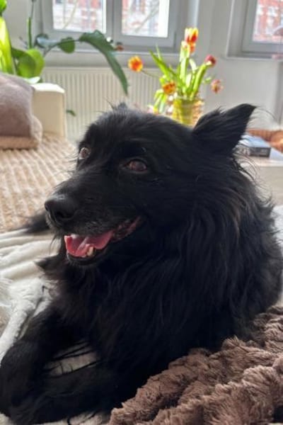 Besuche Daisy in 04157 Leipzig