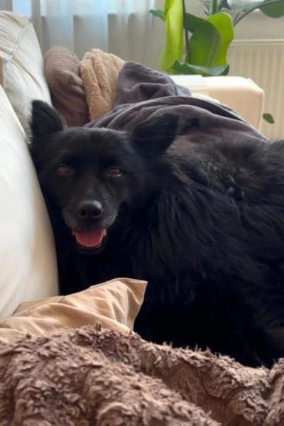 Besuche Daisy in 04157 Leipzig