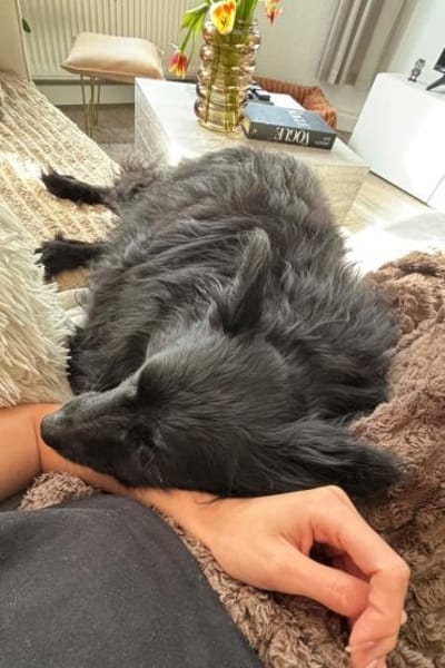 Besuche Daisy in 04157 Leipzig