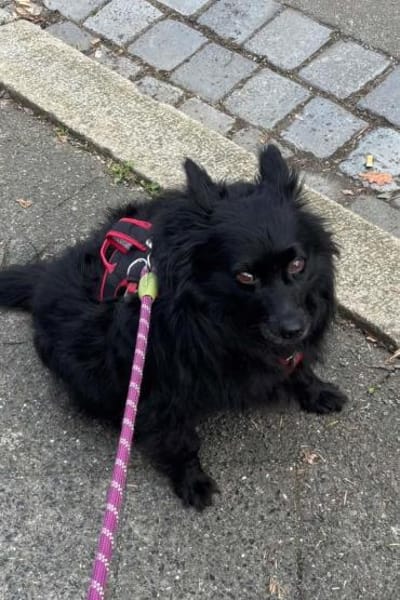 Besuche Daisy in 04157 Leipzig