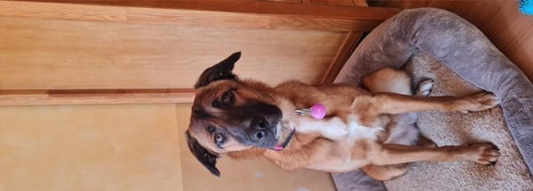 Nala - ich brauche Zeit