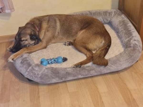 Nala - ich brauche Zeit