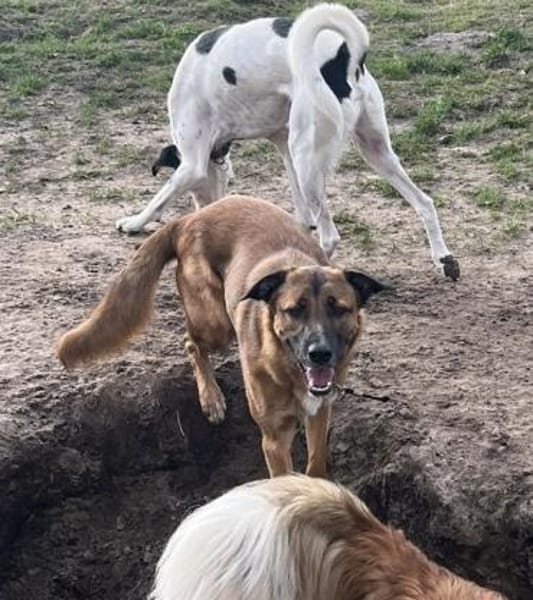 Nala - ich brauche Zeit