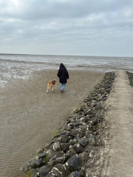 Liebe Elis sucht Für-immer-Zuhause