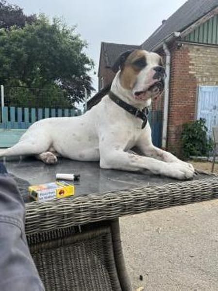 Platz da, hier kommt Frosch.