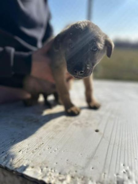 Xerox, süßer geht fast nicht