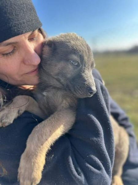 Xerox, süßer geht fast nicht