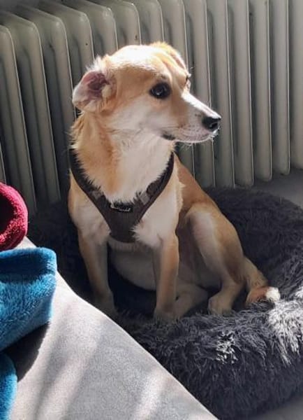 Liebe Bindy, Abgabe aus Zeitgründen