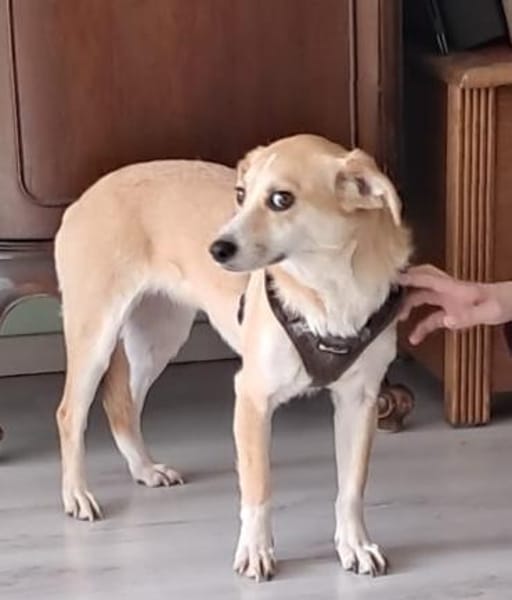 Liebe Bindy, Abgabe aus Zeitgründen