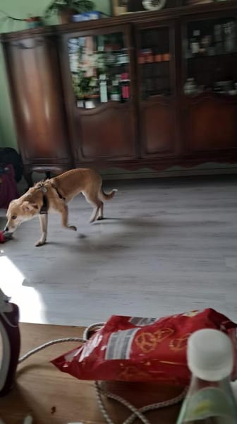 Liebe Bindy, Abgabe aus Zeitgründen