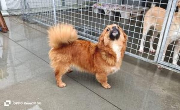 HONEY möchte endlich glücklich sein