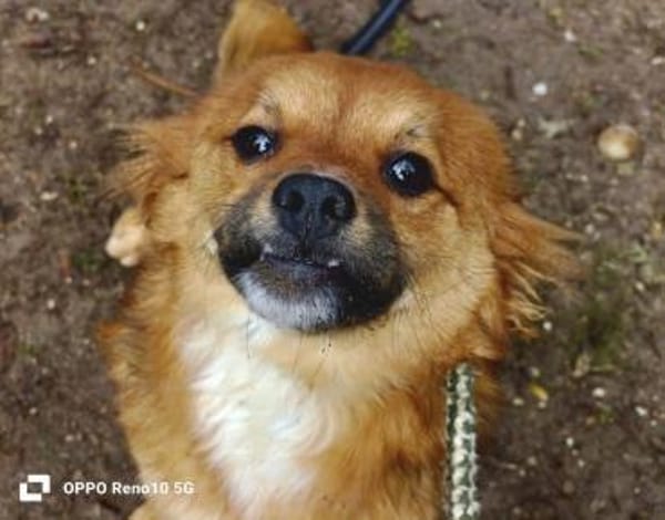 HONEY möchte endlich glücklich sein