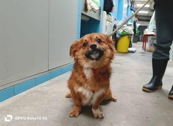 HONEY möchte endlich glücklich sein