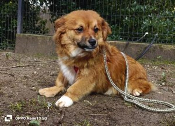 HONEY möchte endlich glücklich sein