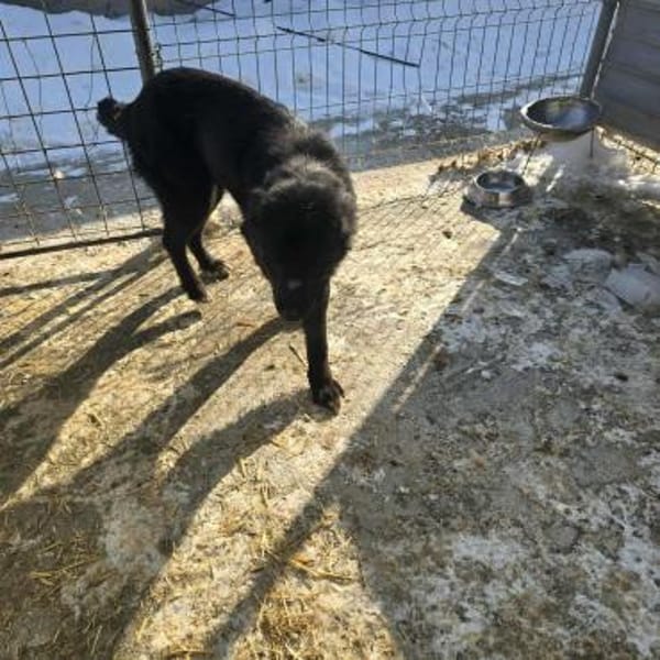 NALANI ab sofort auf PS in 50170 Kerpen