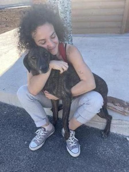 Teo - lieber Rüde sucht ein Zuhause