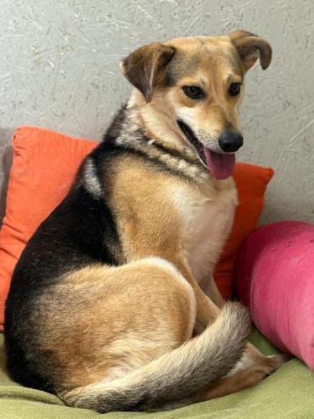 Die sanfte Nami sucht ihre Menschen