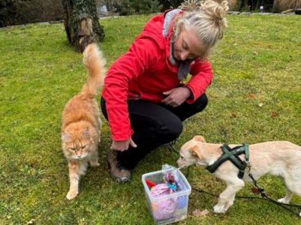 Ivy sucht Für-immer-Zuhause