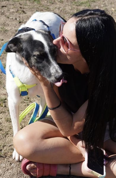 Fluffy - Hütehund-Mischling mit Energie