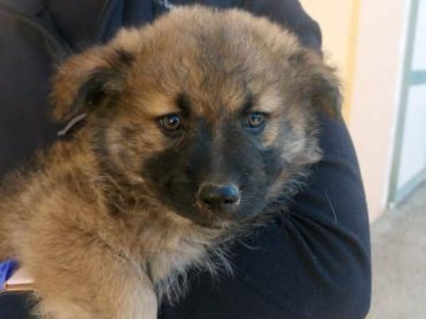 Olivia wünscht sich eine Familie