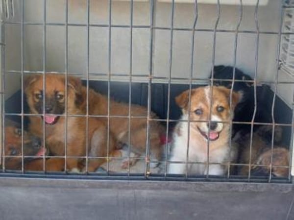 Olivia wünscht sich eine Familie