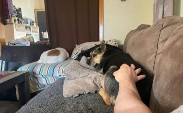 Schenkst du Eva dein Herz?