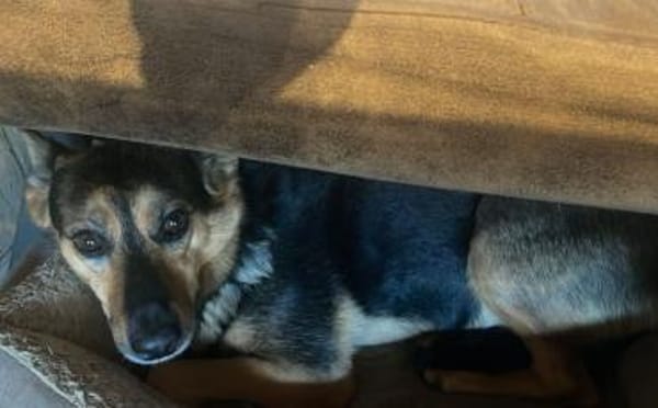 Schenkst du Eva dein Herz?